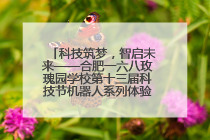 科技筑梦，智启未来——合肥一六八玫瑰园学校第十三届科技节机器人系列体验赛燃动校园