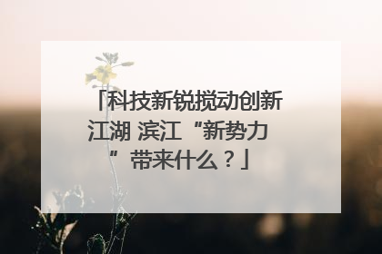 科技新锐搅动创新江湖 滨江“新势力”带来什么？