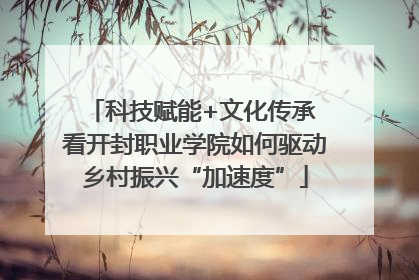 科技赋能+文化传承 看开封职业学院如何驱动乡村振兴“加速度”