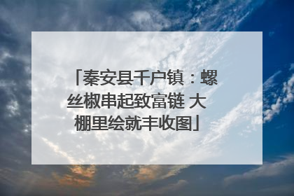 秦安县千户镇：螺丝椒串起致富链 大棚里绘就丰收图