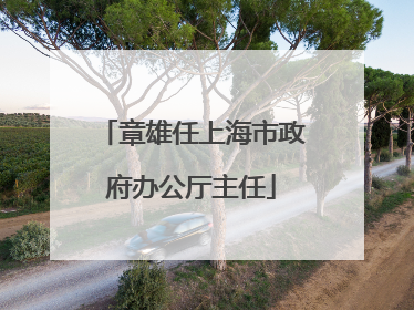 章雄任上海市政府办公厅主任