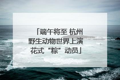 端午将至 杭州野生动物世界上演花式“粽”动员