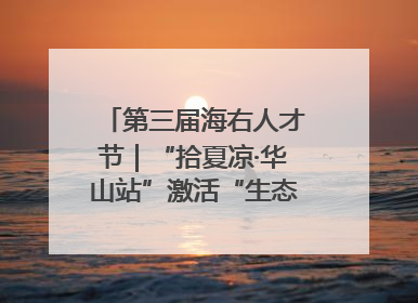 第三届海右人才节｜“拾夏凉·华山站”激活“生态聚才”强磁场