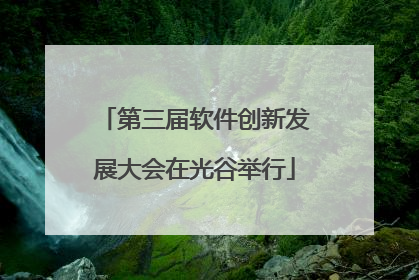 第三届软件创新发展大会在光谷举行