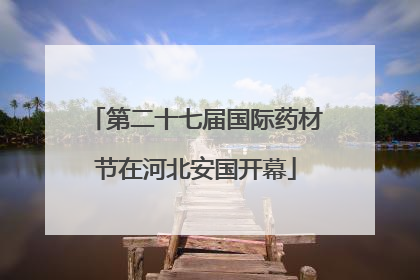 第二十七届国际药材节在河北安国开幕