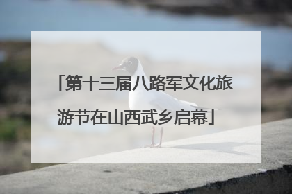 第十三届八路军文化旅游节在山西武乡启幕