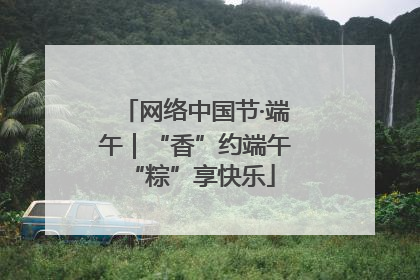 网络中国节·端午｜“香”约端午 “粽”享快乐