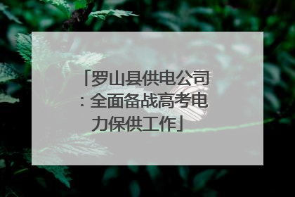 罗山县供电公司：全面备战高考电力保供工作