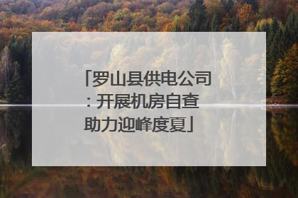 罗山县供电公司：开展机房自查 助力迎峰度夏