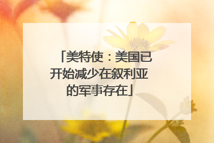 美特使：美国已开始减少在叙利亚的军事存在