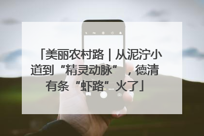 美丽农村路｜从泥泞小道到“精灵动脉”，德清有条“虾路”火了