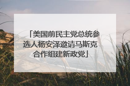 美国前民主党总统参选人杨安泽邀请马斯克合作组建新政党