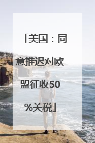 美国：同意推迟对欧盟征收50%关税