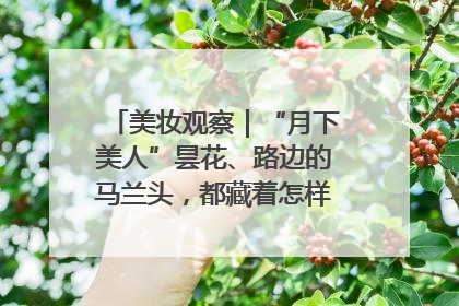 美妆观察｜“月下美人”昙花、路边的马兰头，都藏着怎样的护肤密码？