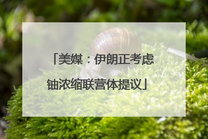 美媒：伊朗正考虑铀浓缩联营体提议
