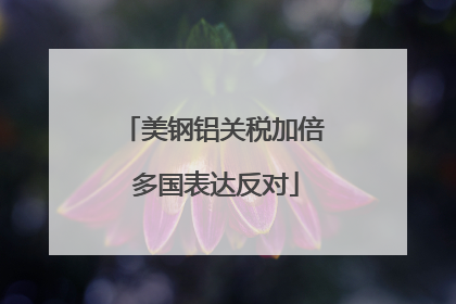 美钢铝关税加倍 多国表达反对
