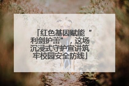 红色基因赋能“利剑护蕾”，这场沉浸式守护宣讲筑牢校园安全防线