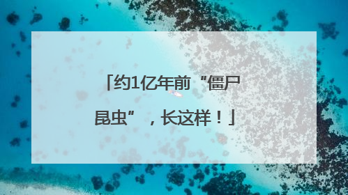 约1亿年前“僵尸昆虫”，长这样！