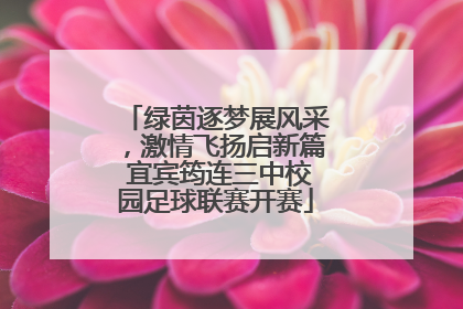 绿茵逐梦展风采，激情飞扬启新篇 宜宾筠连三中校园足球联赛开赛