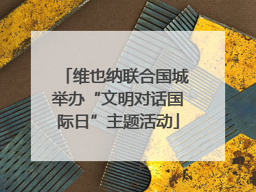 维也纳联合国城举办“文明对话国际日”主题活动