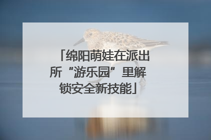 绵阳萌娃在派出所“游乐园”里解锁安全新技能
