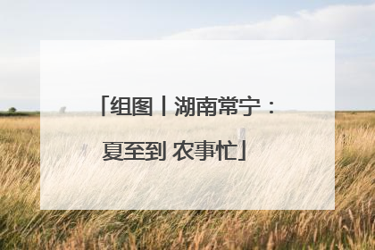 组图丨湖南常宁：夏至到 农事忙