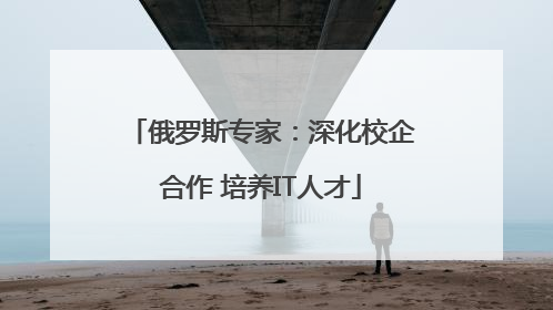 俄罗斯专家：深化校企合作 培养IT人才