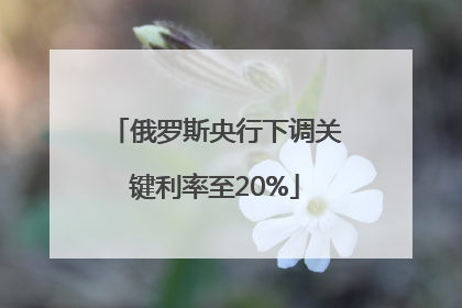 俄罗斯央行下调关键利率至20%