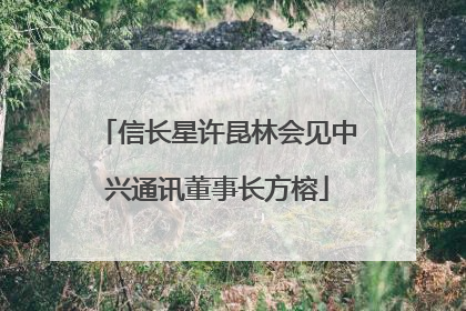 信长星许昆林会见中兴通讯董事长方榕