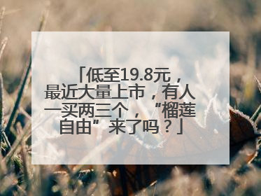 低至19.8元，最近大量上市，有人一买两三个，“榴莲自由”来了吗？