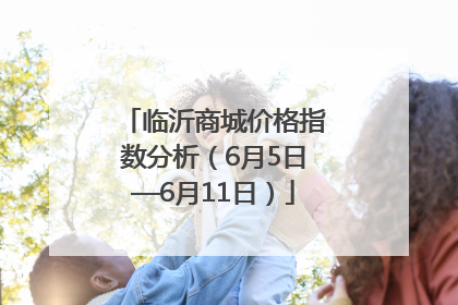 临沂商城价格指数分析（6月5日—6月11日）
