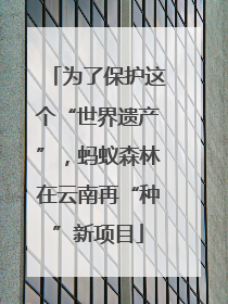 为了保护这个“世界遗产”，蚂蚁森林在云南再“种”新项目