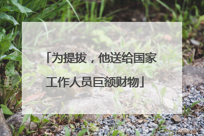 为提拔，他送给国家工作人员巨额财物