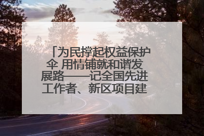 为民撑起权益保护伞 用情铺就和谐发展路——记全国先进工作者、新区项目建设中心干部卢小勇