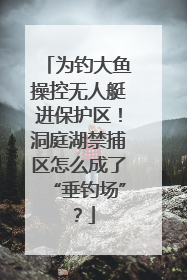 为钓大鱼操控无人艇进保护区！洞庭湖禁捕区怎么成了“垂钓场”？