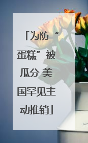 为防“蛋糕”被瓜分 美国罕见主动推销