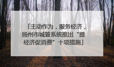 主动作为，服务经济，扬州市城管系统推出“提经济促消费”十项措施