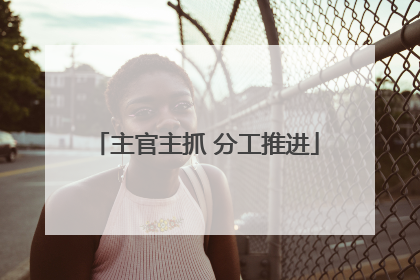 主官主抓 分工推进