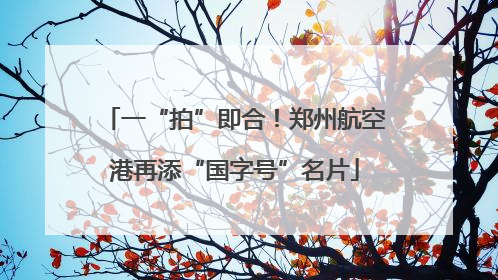 一“拍”即合！郑州航空港再添“国字号”名片