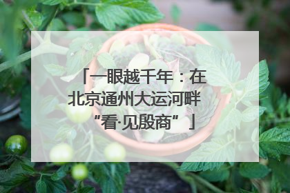 一眼越千年：在北京通州大运河畔“看·见殷商”