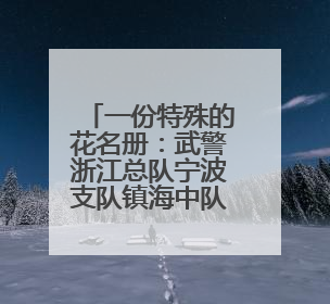 一份特殊的花名册：武警浙江总队宁波支队镇海中队的“精神密码”