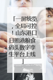 一屏统览,全局可控!山东港口日照港粮食码头数字孪生平台上线