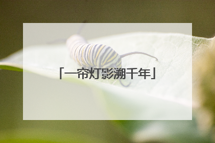 一帘灯影溯千年