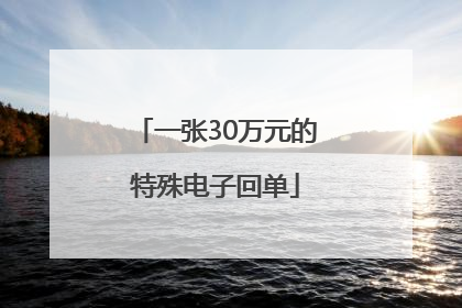 一张30万元的特殊电子回单
