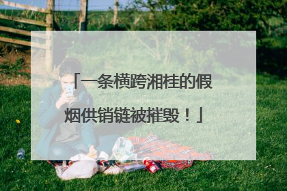 一条横跨湘桂的假烟供销链被摧毁！