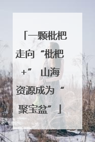 一颗枇杷走向“枇杷+” 山海资源成为“聚宝盆”