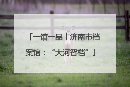 一馆一品丨济南市档案馆：“大河智档”