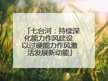 七台河：持续深化能力作风建设 以过硬能力作风激活发展新动能