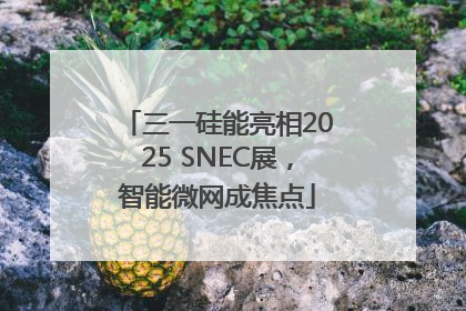 三一硅能亮相2025 SNEC展，智能微网成焦点