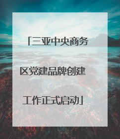 三亚中央商务区党建品牌创建工作正式启动